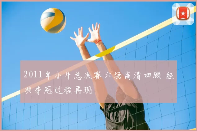 2011年小牛总决赛六场高清回顾 经典夺冠过程再现