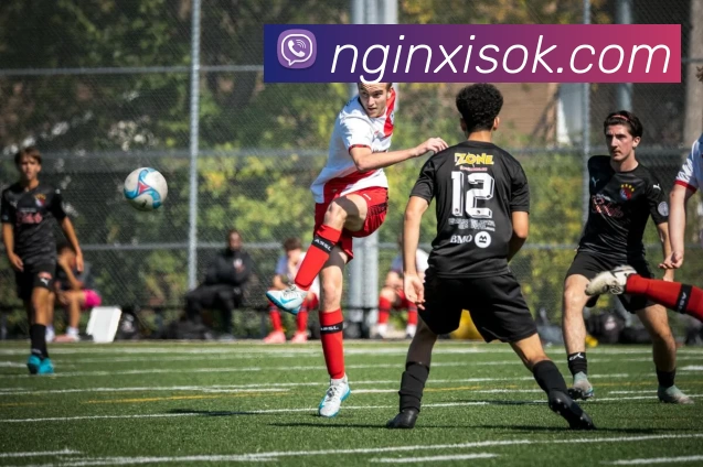 乐竞 - 乐竞(中国)一站式服务官网平台生态图